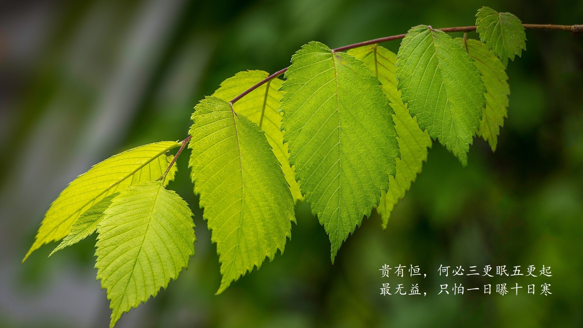 阿森纳客场取胜，士气大振追赶榜首，阿森纳终于赢了
