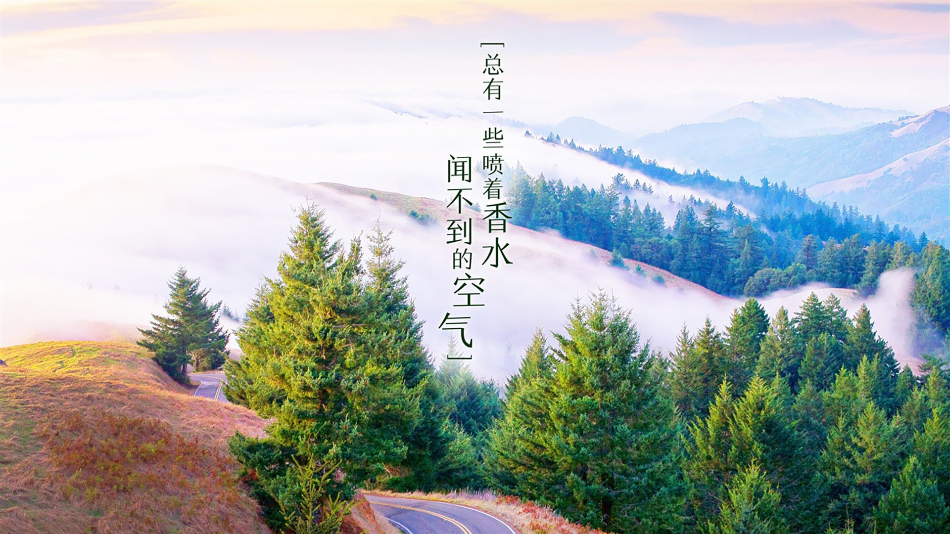风云再起，女足比赛冠军问世感人心弦，女足谁冠军