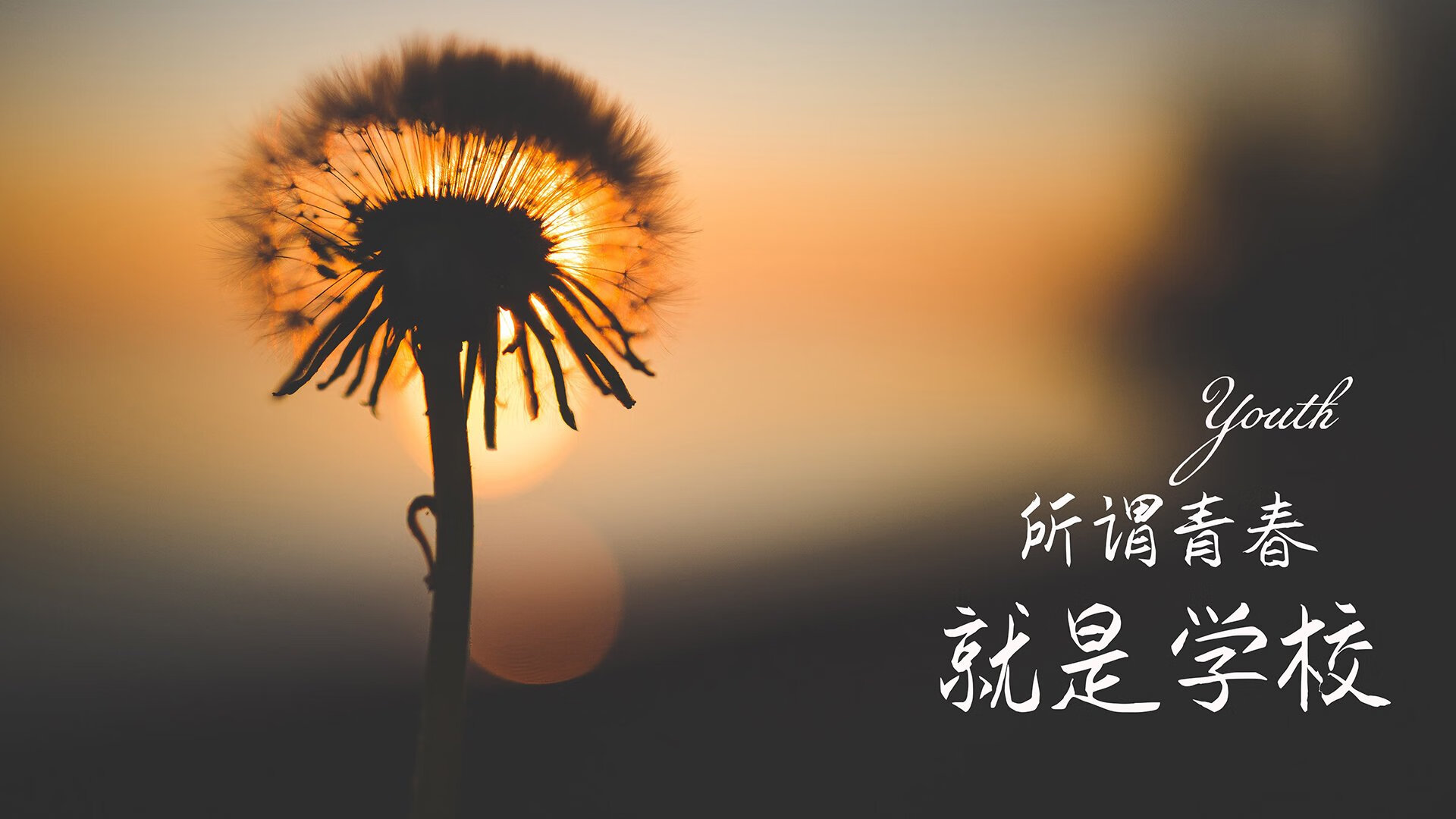 leyu.com-领头羊状态回升，法甲豪门欲收复失地，法甲土豪球队