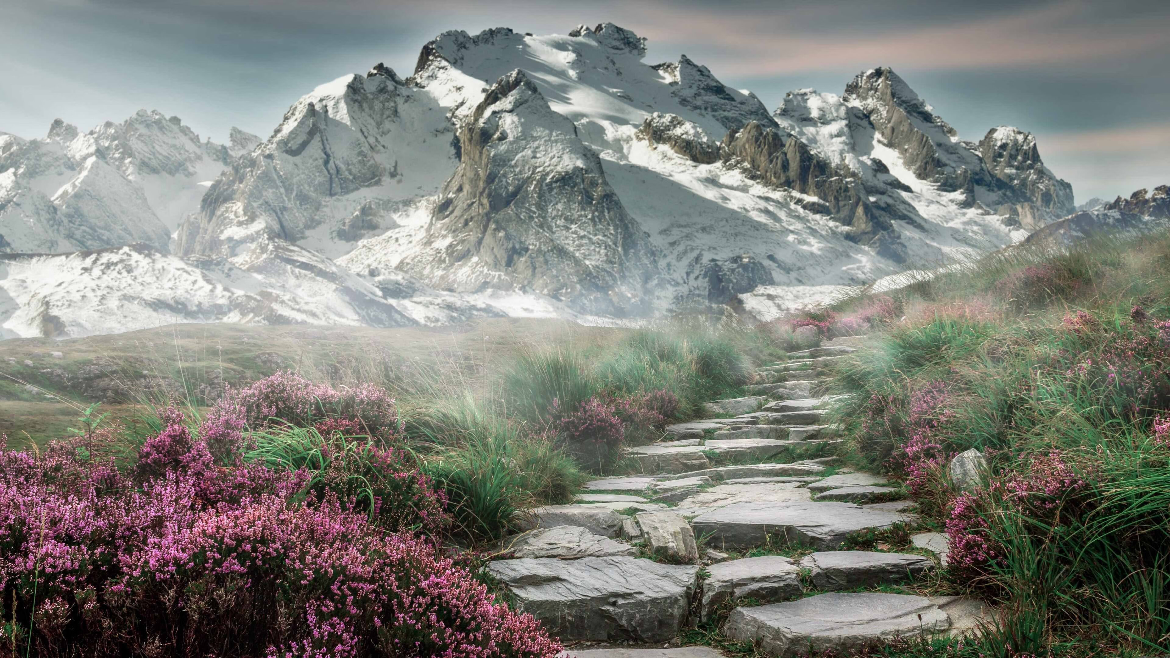 体育明星公益形象影响力显著提升,体育明星的作用