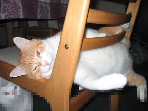 维拉锋线球员效率提高助力连胜走势,维拉vs