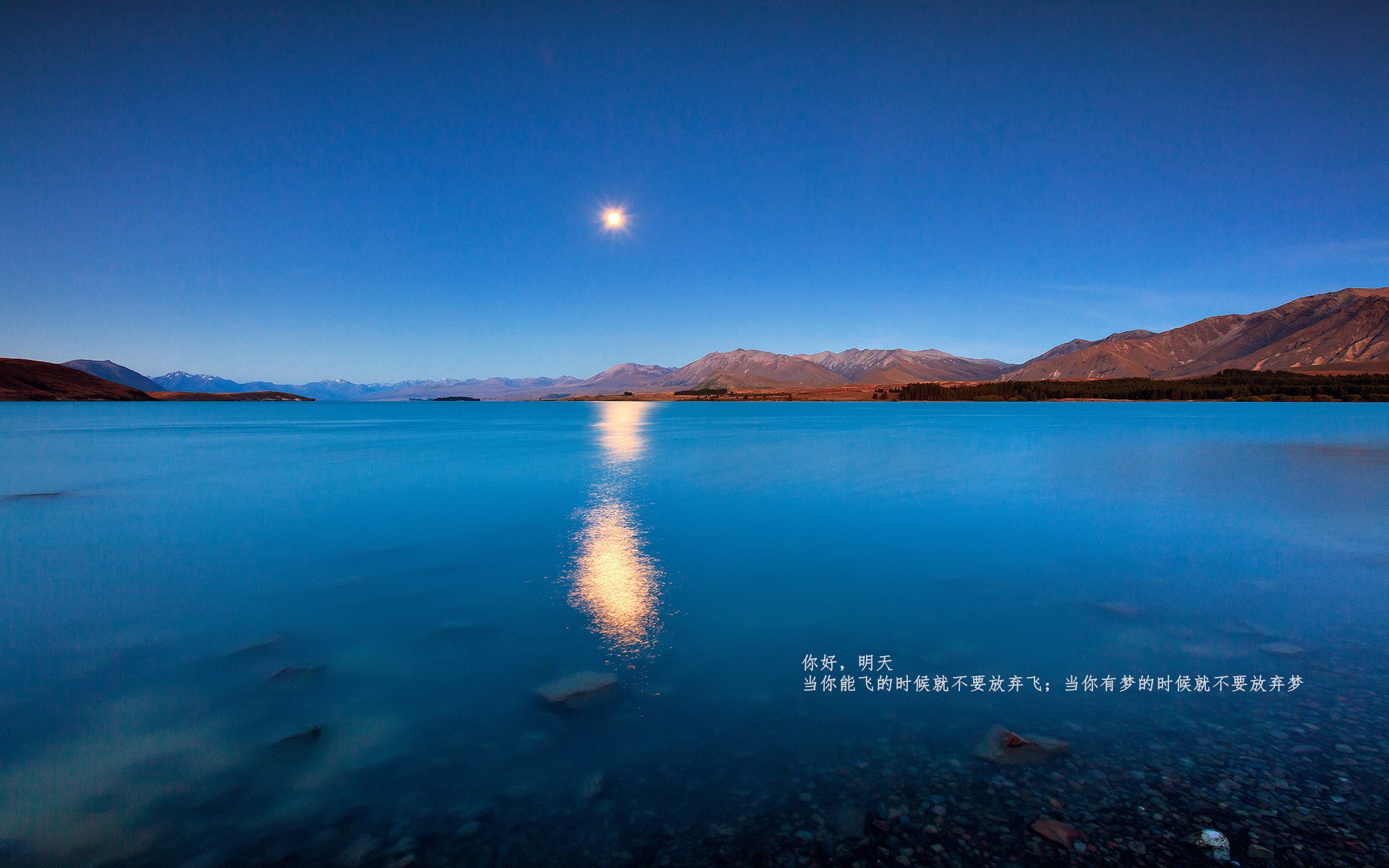美国队在国际乒联混合团体世界杯中的赛场表现与团队协作，美国乒乓球国家队队员名单