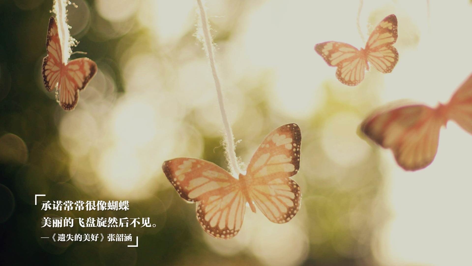 恩多比·恩乔：他的攻防转换能力为南非队创造了无数机会，球员恩多