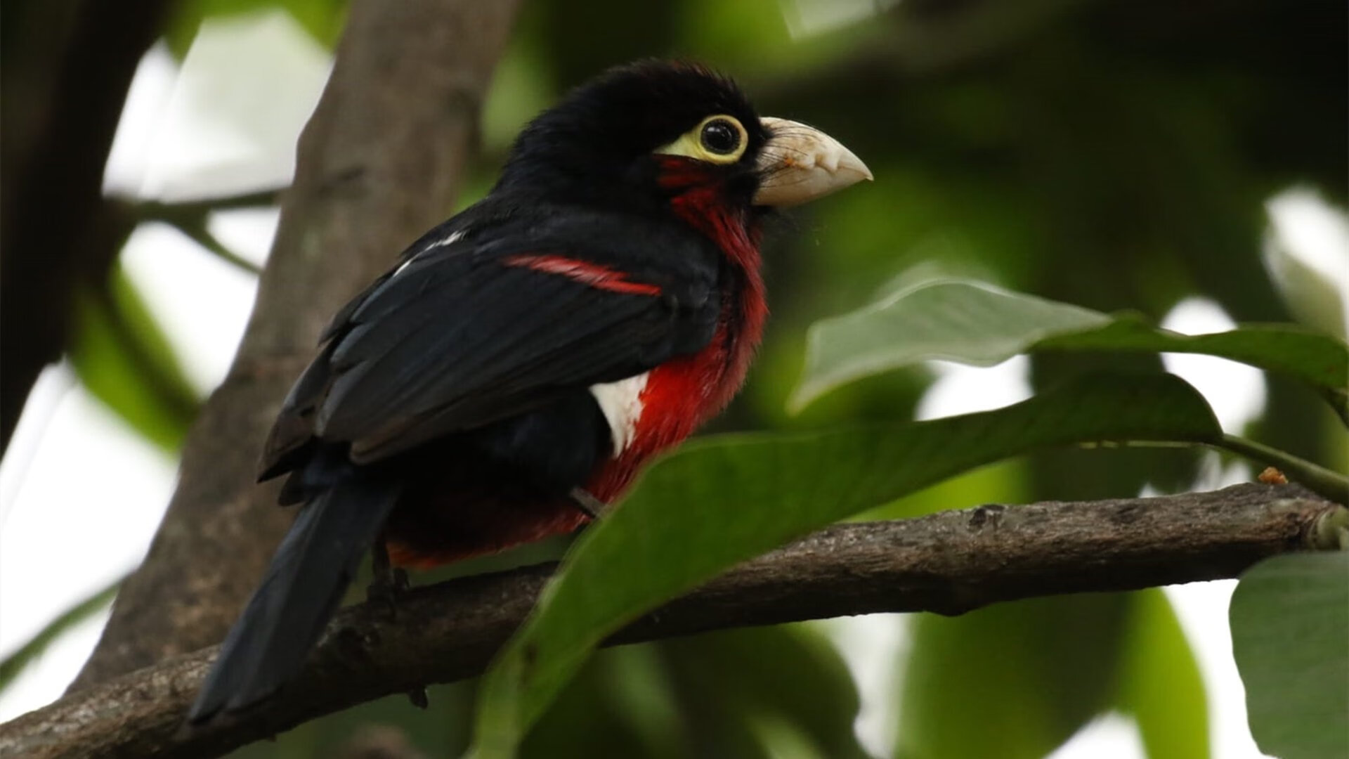 乐鱼体育(中国)官方网站-英超终极之战：争冠悬念持续升温！，英超总结