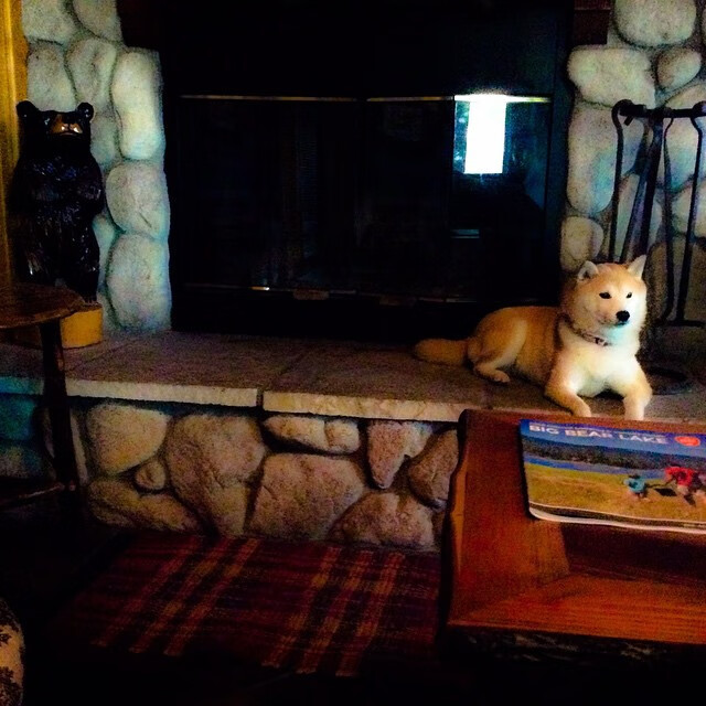 雷霆召开媒体说明会回应战术质疑，雷霆消息