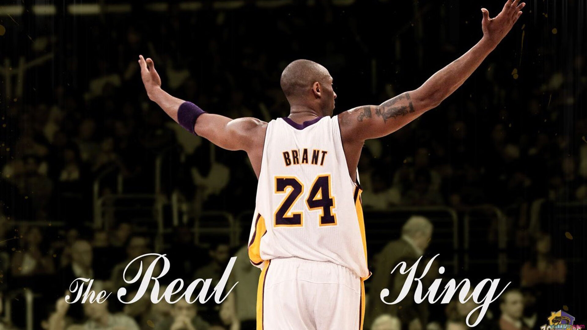 乐鱼在线登录-国际台球赛冠军争夺战白热化，台球世界冠军白鸽