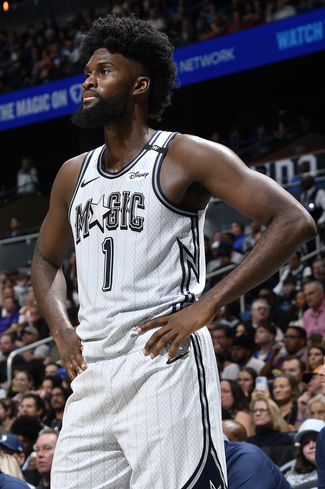 关于乐鱼体育:NBA球星退役后生活：转型之路，各不相同的信息